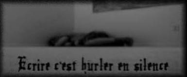 ECRIRE C bUrlEr En SilEnCe