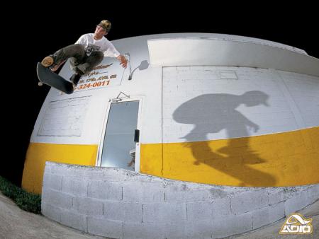 skate board