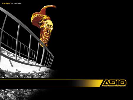 skate board